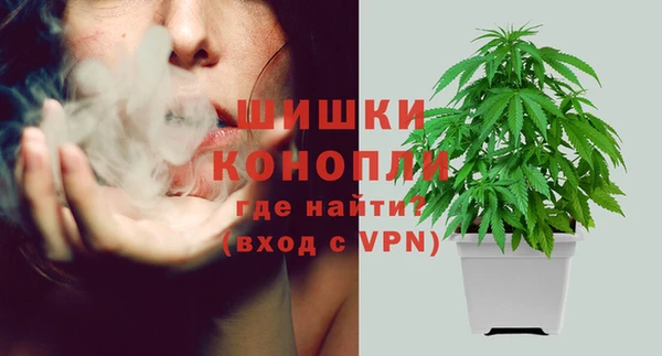 ECSTASY Иннополис