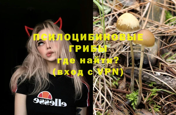 ECSTASY Иннополис