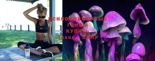 соль ск Костерёво